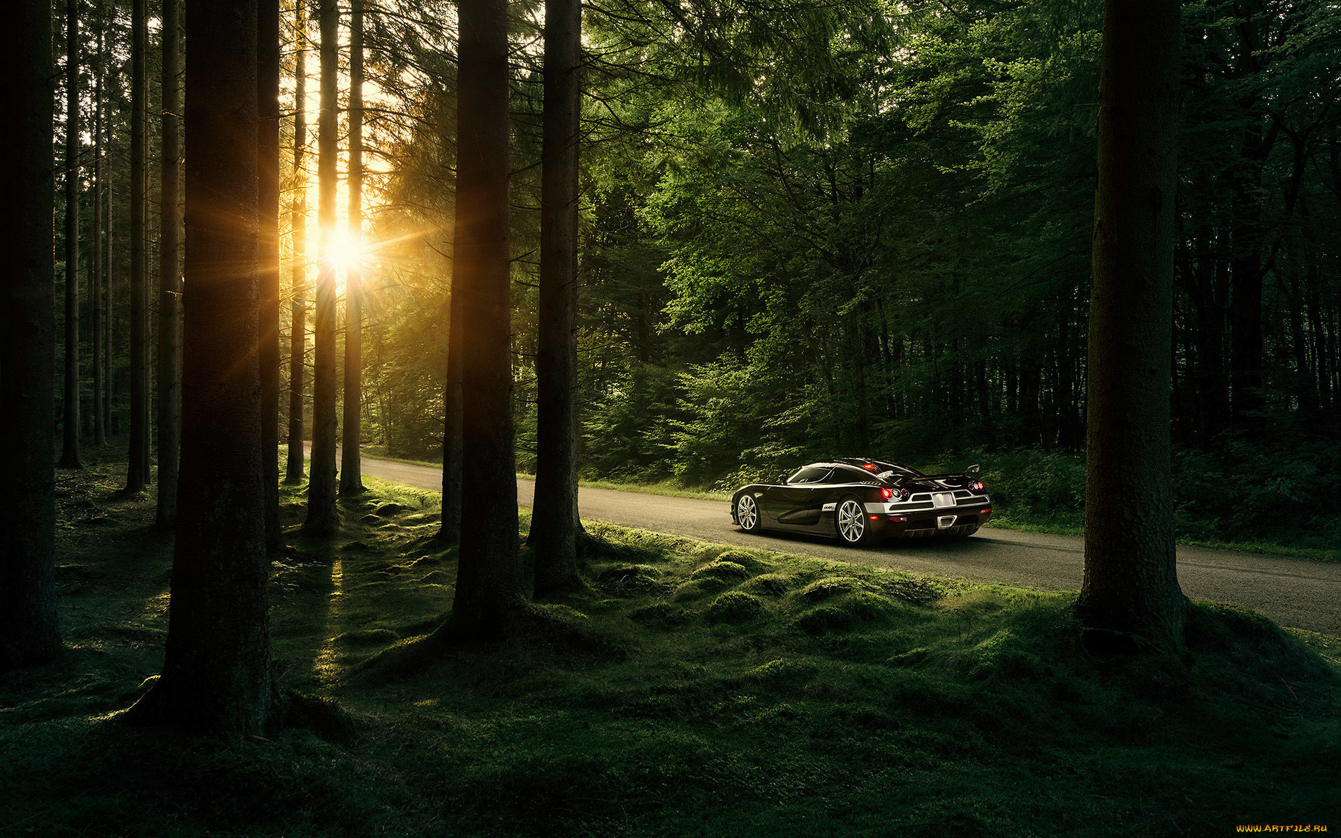, koenigsegg, , , , , 